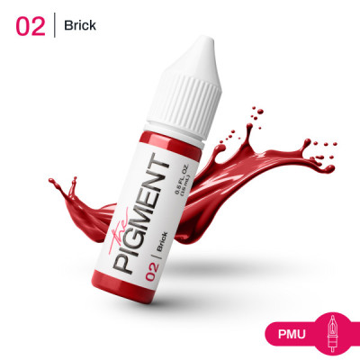 Farba na permanentný make-up THE PIGMENT 02 BRICK – 15 ml REACH